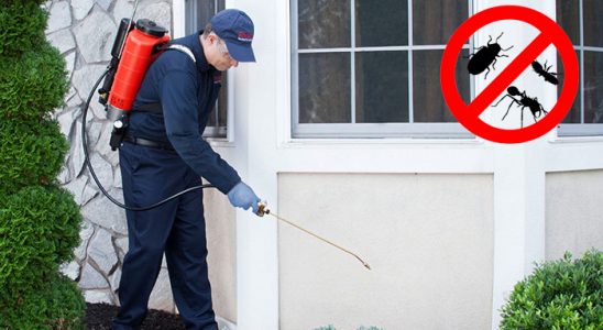 Gölpazarı Bit İlaçlama böcek ilaçlama ve haşere kontrolü — ilaclama-tr.com